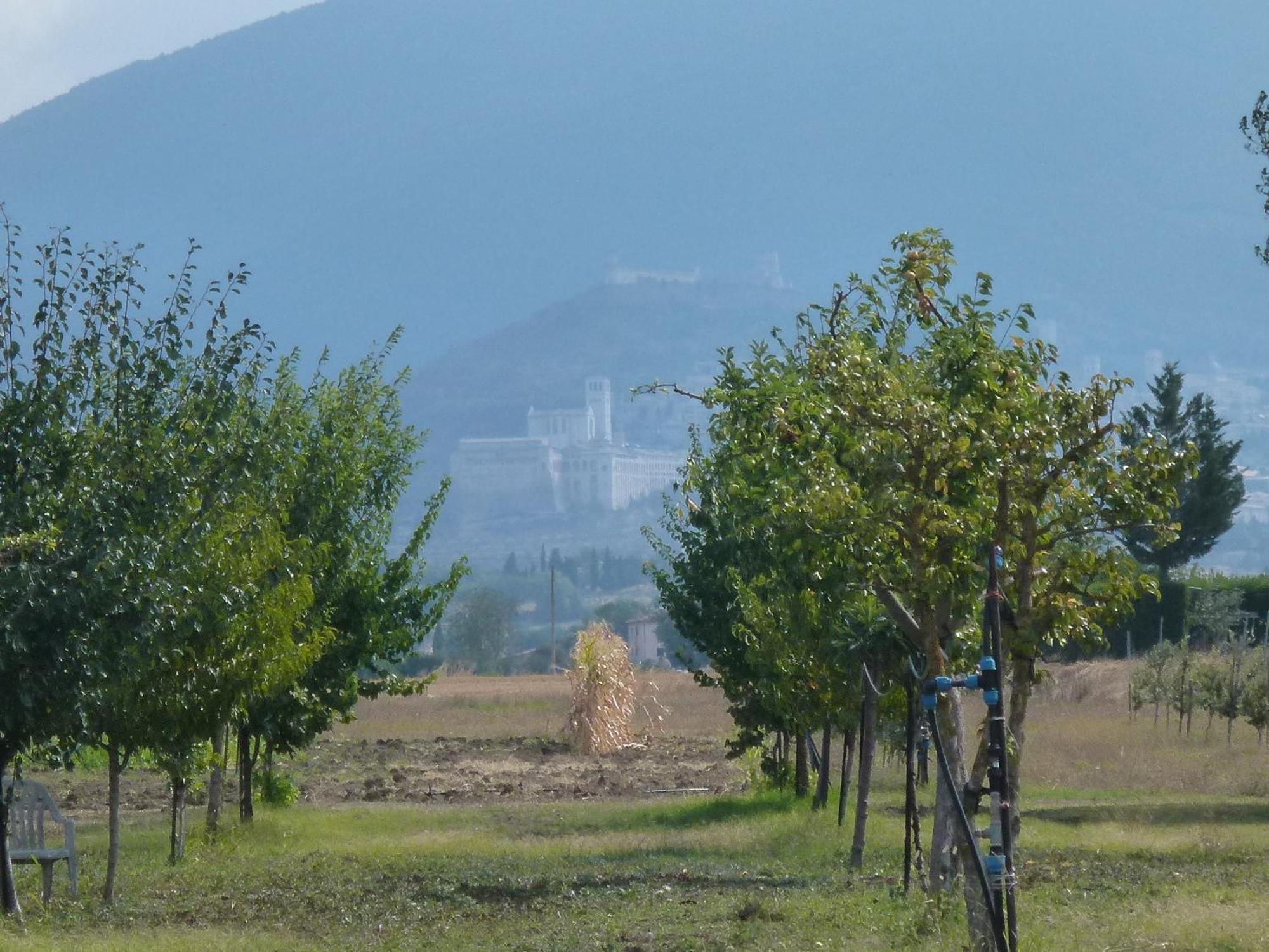 Campiglione Hotel Assisi Exteriör bild